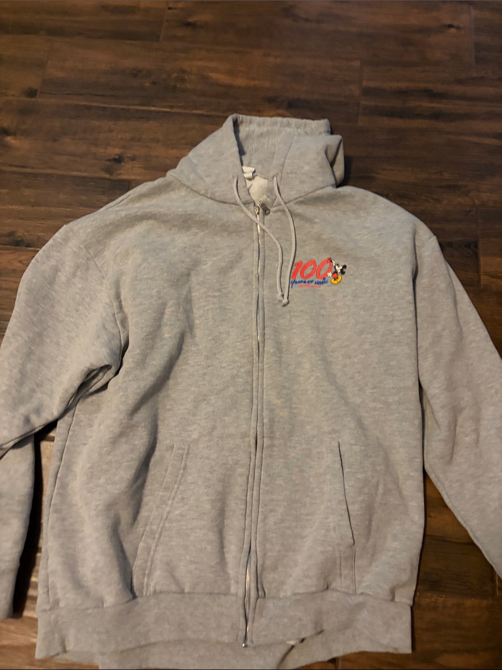 Disney Light Gray Zip-Up Hoodie with 100th Anniversary Graphic
